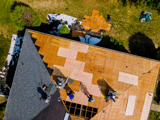 Best Roof Gutter Cleaning  in Arbury Hls, IL