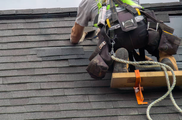 Professional Roofing Contractor in Arbury Hills, IL